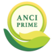 logo.webp